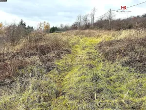 Prodej pozemku pro bydlení, Divišov, V Dolích, 1391 m2