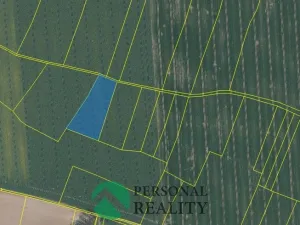 Prodej pole, Čistá, 7651 m2