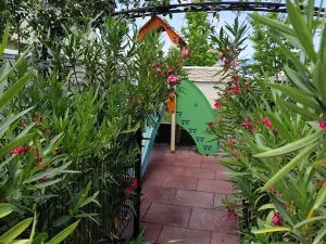 Prodej bytu 2+kk, Nesebar, Bulharsko, 52 m2