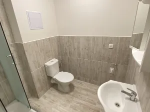 Pronájem bytu 3+kk, Ivanovice na Hané, 62 m2