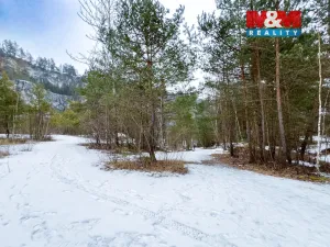 Prodej rybníku, Rabí, 28273 m2