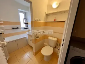 Prodej bytu 1+1, Kladno - Kročehlavy, U výtopny, 35 m2