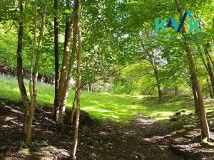 Prodej pozemku, Loket, 5448 m2