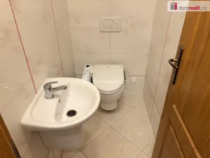 Pronájem bytu 6+kk a větší, Hustopeče, Kosmákova, 160 m2