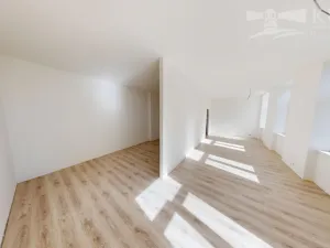 Prodej bytu 1+kk, České Budějovice - České Budějovice 3, Rudolfovská tř., 48 m2