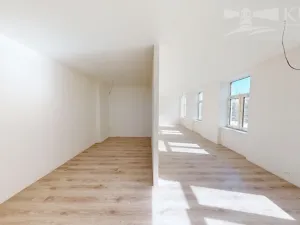 Prodej bytu 1+kk, České Budějovice - České Budějovice 3, Rudolfovská tř., 48 m2