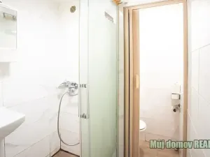 Prodej bytu 3+kk, Praha - Kamýk, 40 m2