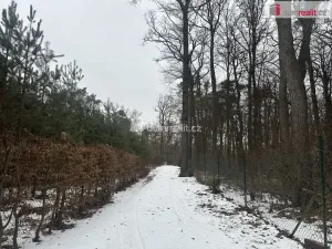 Prodej chaty, Hradištko, Kersko, 158 m2