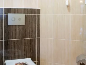 Prodej rodinného domu, Lípa, 280 m2