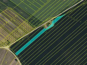 Prodej pole, Čejkovice, 76083 m2