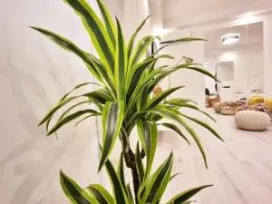 Prodej bytu 3+1, Pula, Chorvatsko, 68 m2