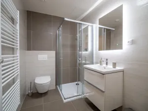 Pronájem bytu 2+kk, Brno - Staré Brno, Ghegova, 51 m2