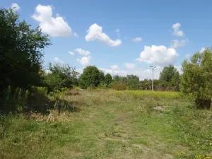 Prodej louky, Kosmonosy, 8401 m2