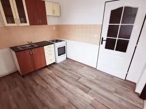 Pronájem bytu 1+1, Vrbice, 38 m2