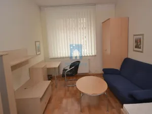 Pronájem bytu 1+1, Plzeň, Zámečnická, 45 m2