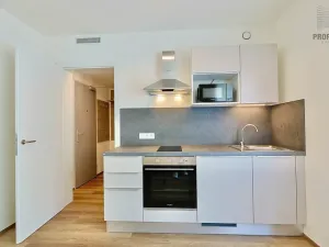 Pronájem bytu 1+kk, Brno, Bystrcká, 30 m2