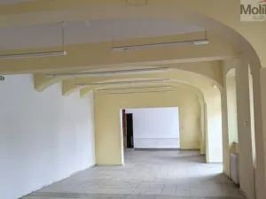 Pronájem výrobních prostor, Teplice, Pražská, 651 m2