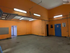 Pronájem obchodního prostoru, Teplice, Pražská, 380 m2