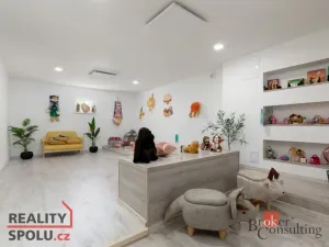 Pronájem bytu 2+kk, Bruntál, Příčná, 55 m2