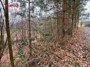 Prodej pozemku, Ondřejov, 8264 m2