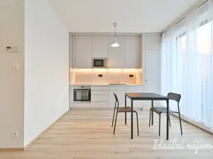 Pronájem bytu 1+kk, Brno, Rybářská, 29 m2