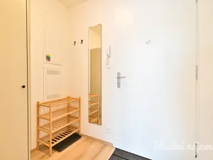 Pronájem bytu 1+kk, Brno, Rybářská, 29 m2