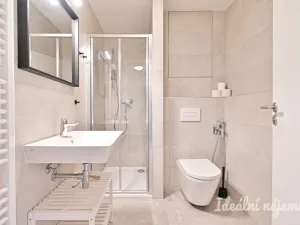 Pronájem bytu 1+kk, Brno, Rybářská, 29 m2