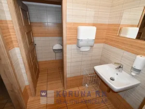 Pronájem obchodního prostoru, České Budějovice - České Budějovice 2, J. Opletala, 58 m2