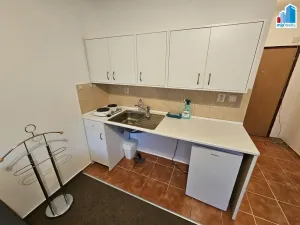 Pronájem bytu 1+kk, Plzeň - Doubravka, Na Dlouhých, 25 m2