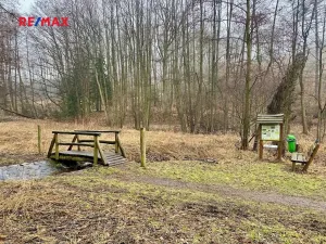 Prodej rybníku, Ondřejov, 8264 m2