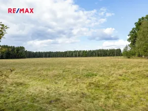 Prodej pozemku pro bydlení, Suchdol nad Lužnicí, 1001 m2