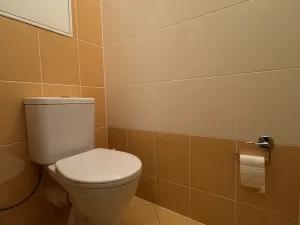 Pronájem bytu 1+kk, Olomouc, Peškova, 45 m2