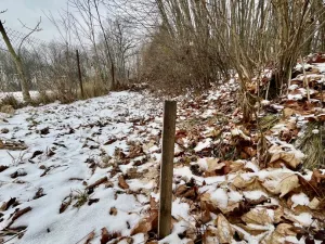 Prodej pozemku pro bydlení, Vratimov, Popinecká, 1929 m2