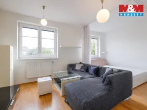 Pronájem bytu 1+kk, Plzeň - Jižní Předměstí, U Radbuzy, 29 m2