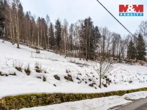 Prodej pozemku pro bydlení, Dolní Dvůr, 9366 m2