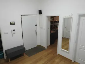 Prodej bytu 3+1, Praha - Žižkov, Biskupcova, 91 m2