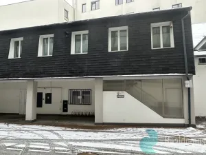 Pronájem komerční nemovitosti, České Budějovice - České Budějovice 2, Husova tř., 300 m2