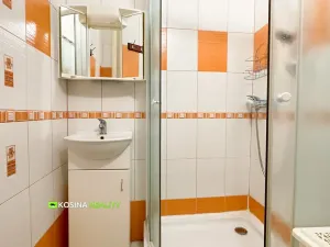 Pronájem bytu 2+1, Habartov, Raisova, 58 m2