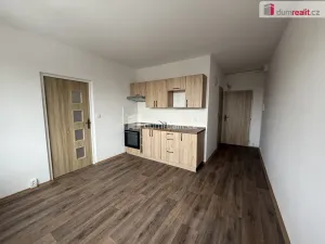 Pronájem bytu 1+1, Ústí nad Labem - Severní Terasa, Pincova, 38 m2