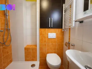 Prodej bytu 1+1, Ostrava, Krakovská, 20 m2