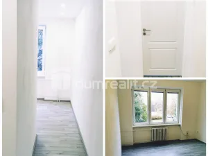 Pronájem bytu 2+1, Litoměřice - Předměstí, Dobrovského, 54 m2