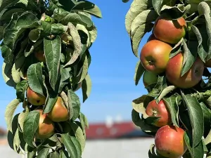 Prodej rodinného domu, Cheb, U Sídliště, 114 m2