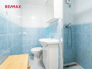 Prodej bytu 1+1, Kolín, Na Magistrále, 24 m2