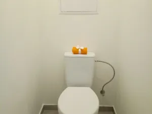 Pronájem bytu 2+1, Ostrava - Výškovice, Staňkova, 57 m2