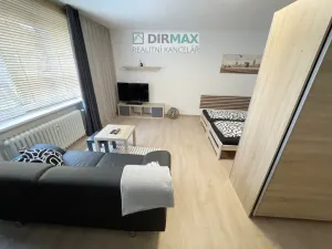 Pronájem bytu 1+1, Plzeň - Božkov, Barákova, 45 m2