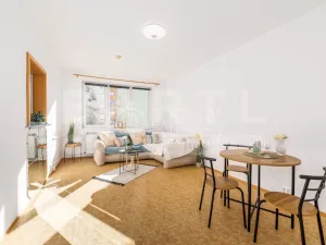 Prodej bytu 3+1, České Budějovice - České Budějovice 2, K. Chocholy, 66 m2