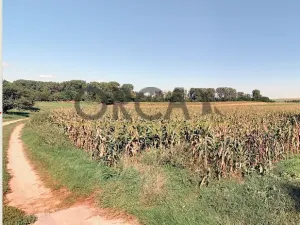 Prodej podílu pole, Svatobořice-Mistřín, 839 m2