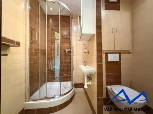 Prodej bytu 1+1, Orlová, Masarykova třída, 41 m2