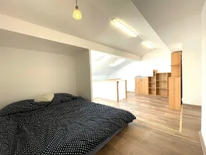 Pronájem bytu 3+kk, Praha - Smíchov, Nad Palatou, 75 m2