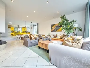 Pronájem rodinného domu, Dolní Břežany, V Úvozu, 380 m2